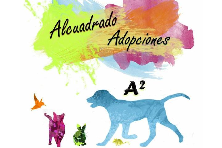 Alcuadrado Adopciones - ¿Qué hacemos?
En Alcuadrado Adopciones nos dedicamos al rescate, recuperación y posterior adopción d... | Recaudación de fondos en Coral