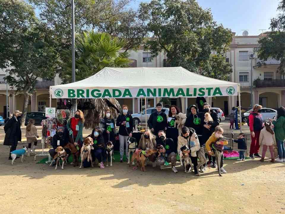 Brigada Animalista - ¿Qué hacemos?
Brigada Animalista es una asociación de Rescate Animal creada por voluntarios, que se... | Recaudación de fondos en Coral