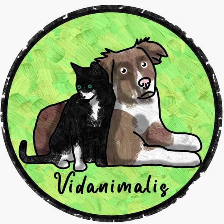 Vidanimalis - ¿Qué hacemos?
Asociación Vidanimalis surgió de la necesidad de Salvar Vidas de 4 Patas.
Ya sabéis qu... | Recaudación de fondos en Coral